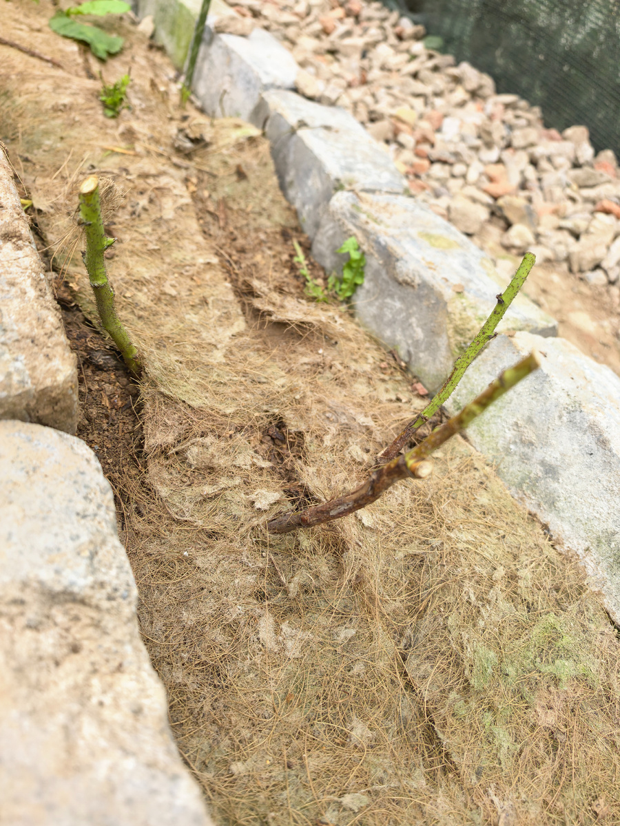 Карамелька