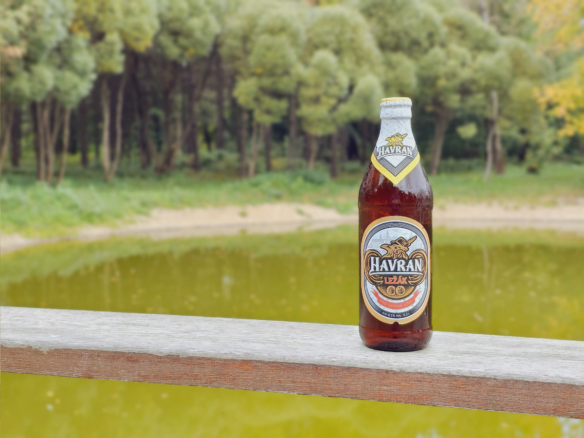 Havran, фото автора