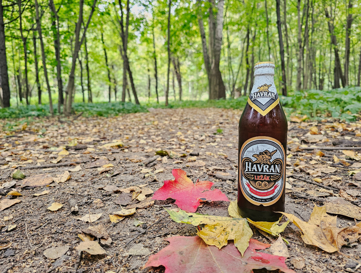 Havran, фото автора