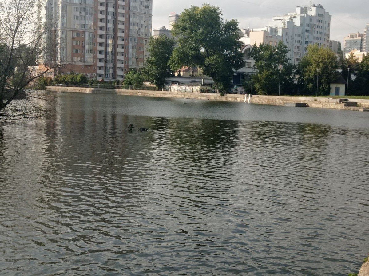 Фотография автора