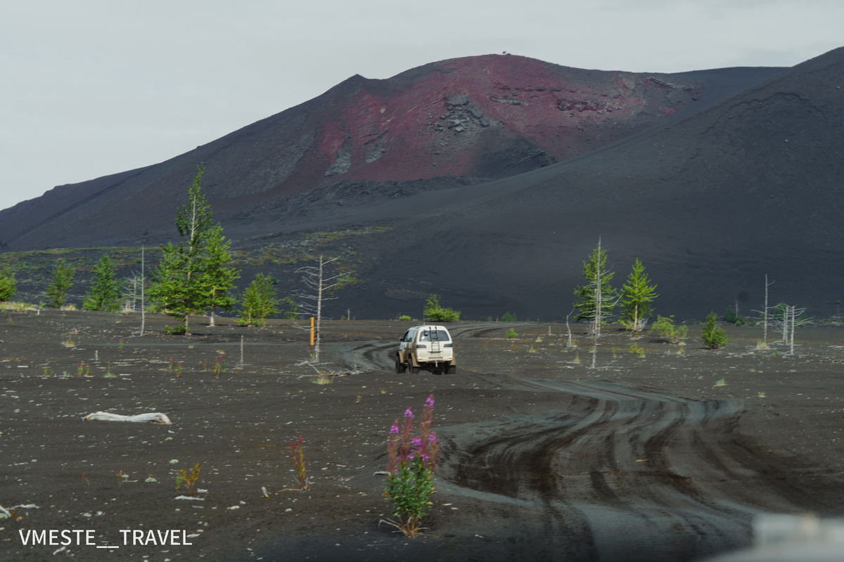 Мёртвый лес на Камчатке, тур на Камчатку Толбачик, фото Вместе Тревел