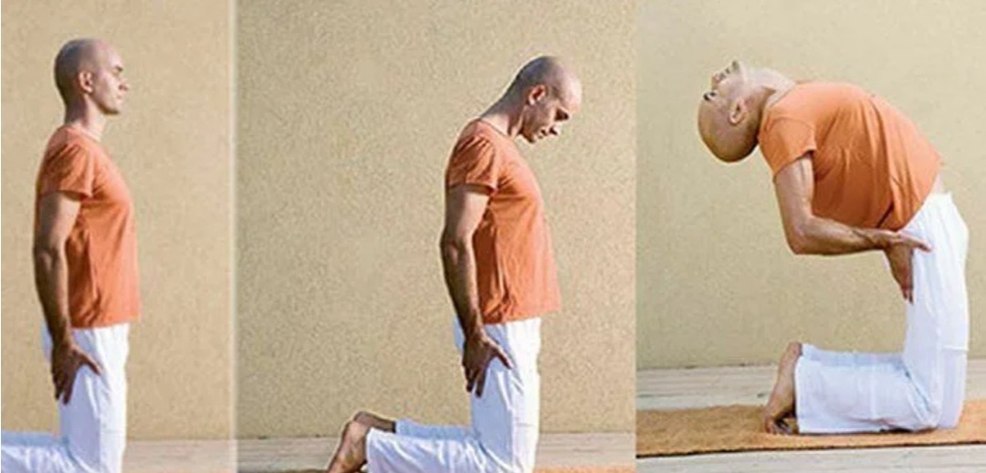 Пять тибетских жемчужин для продления жизни