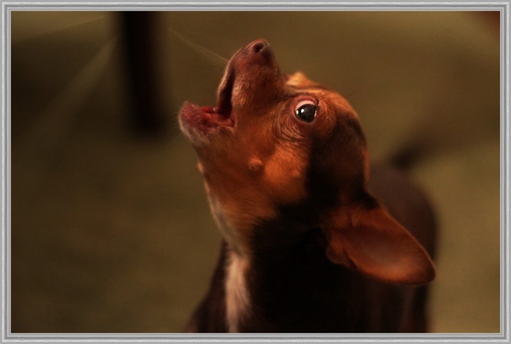 Давайте разберёмся, какие могут быть причины, и что с этим делать.
