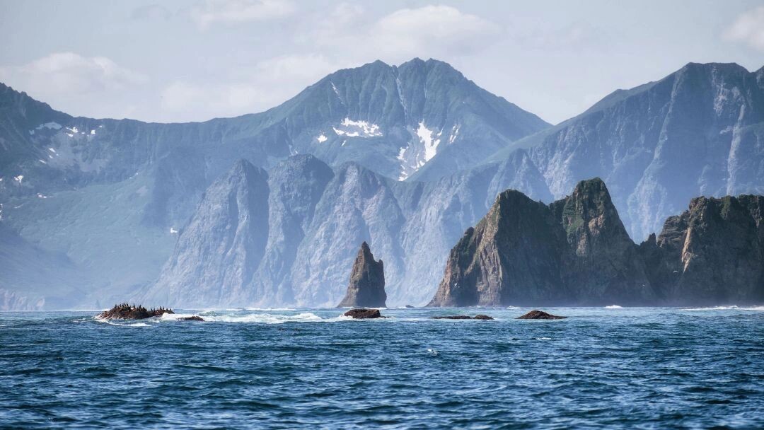    Фото: Egoreichenkov Evgenii/Shutterstock/Fotodom