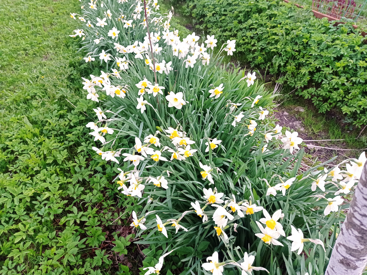 Еще одна полянка