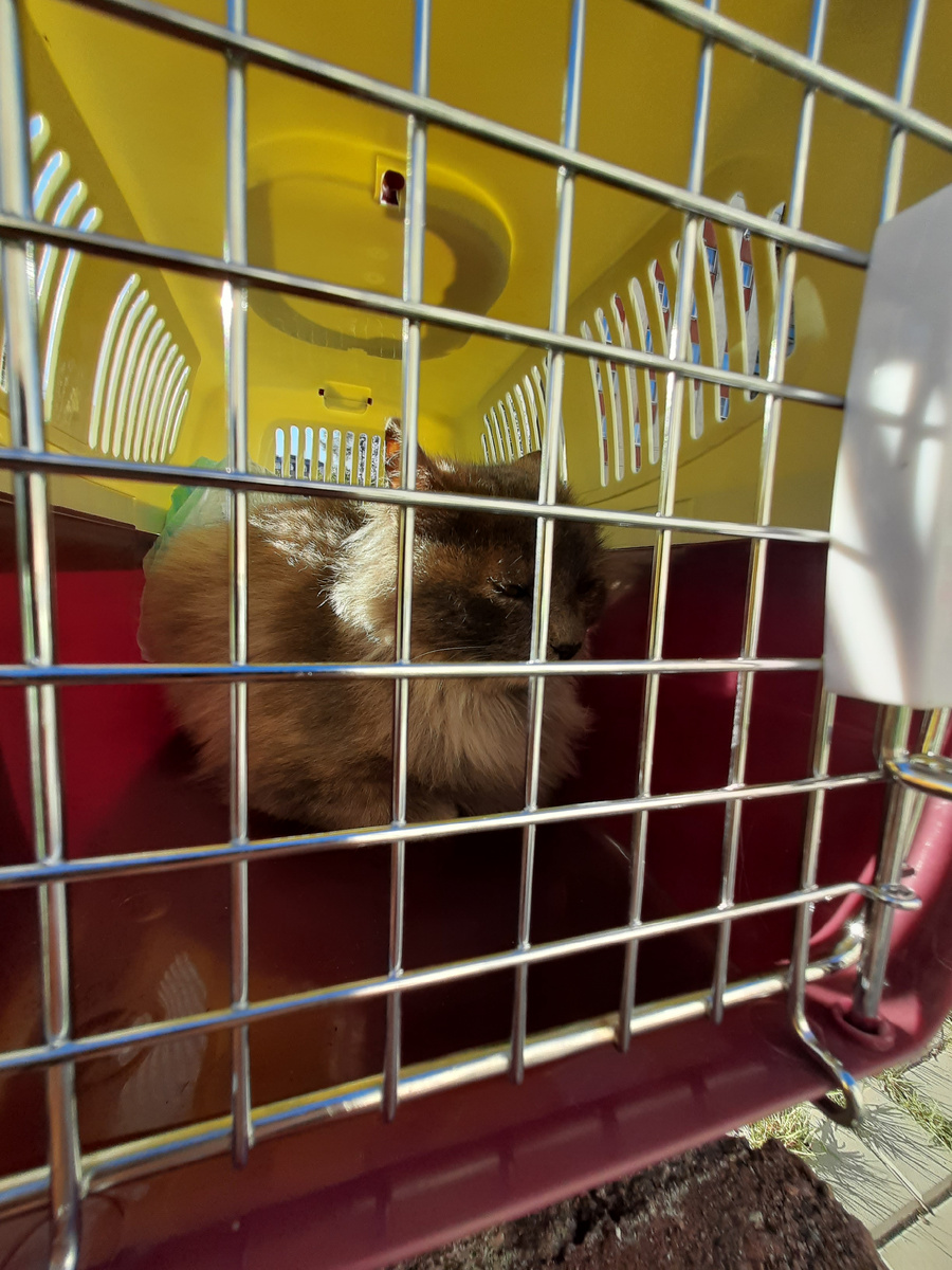 Холодные ночи позади