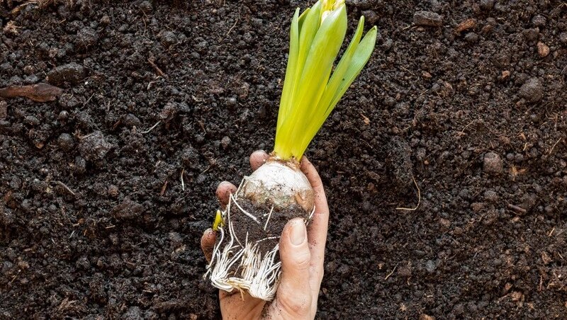     Фото: @freepik / ru.freepik.com