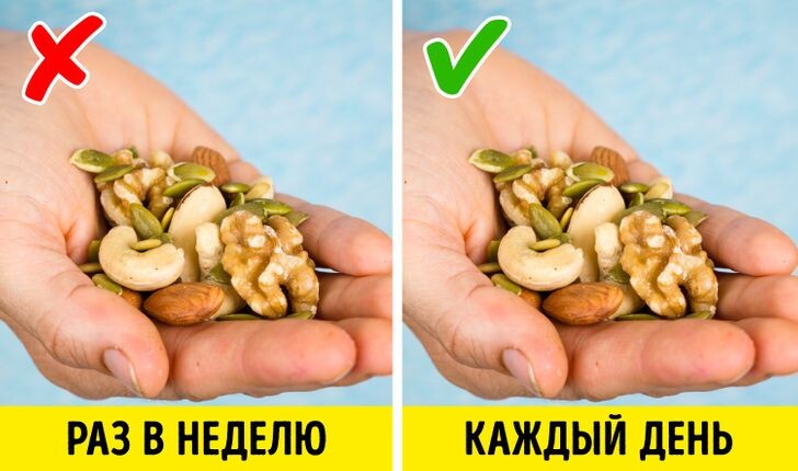 Что произойдёт с телом, если каждый день есть орехи