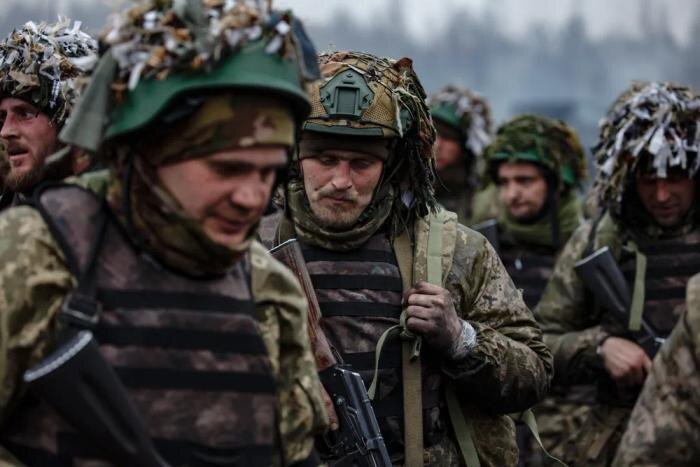 Обложка © Shutterstock / FOTODOM / Dmytro Larin
