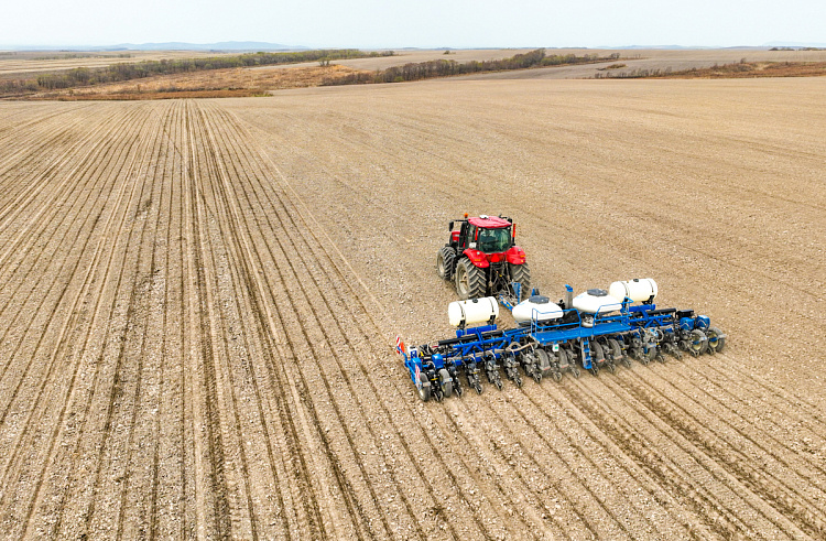 Фото — Диана Шарафулисламова