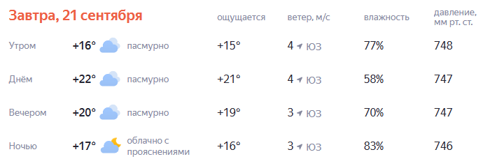 Погода в день матча