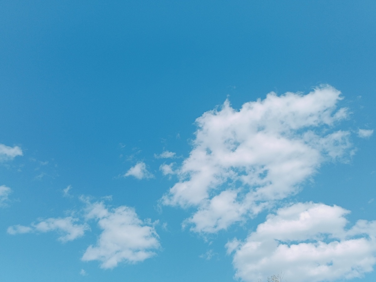    Фото: Марина Куцина