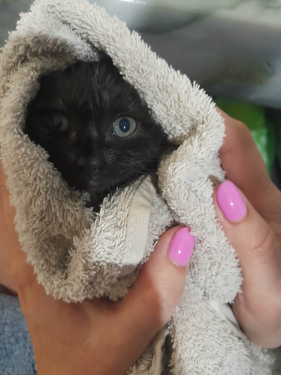 Из личного архива