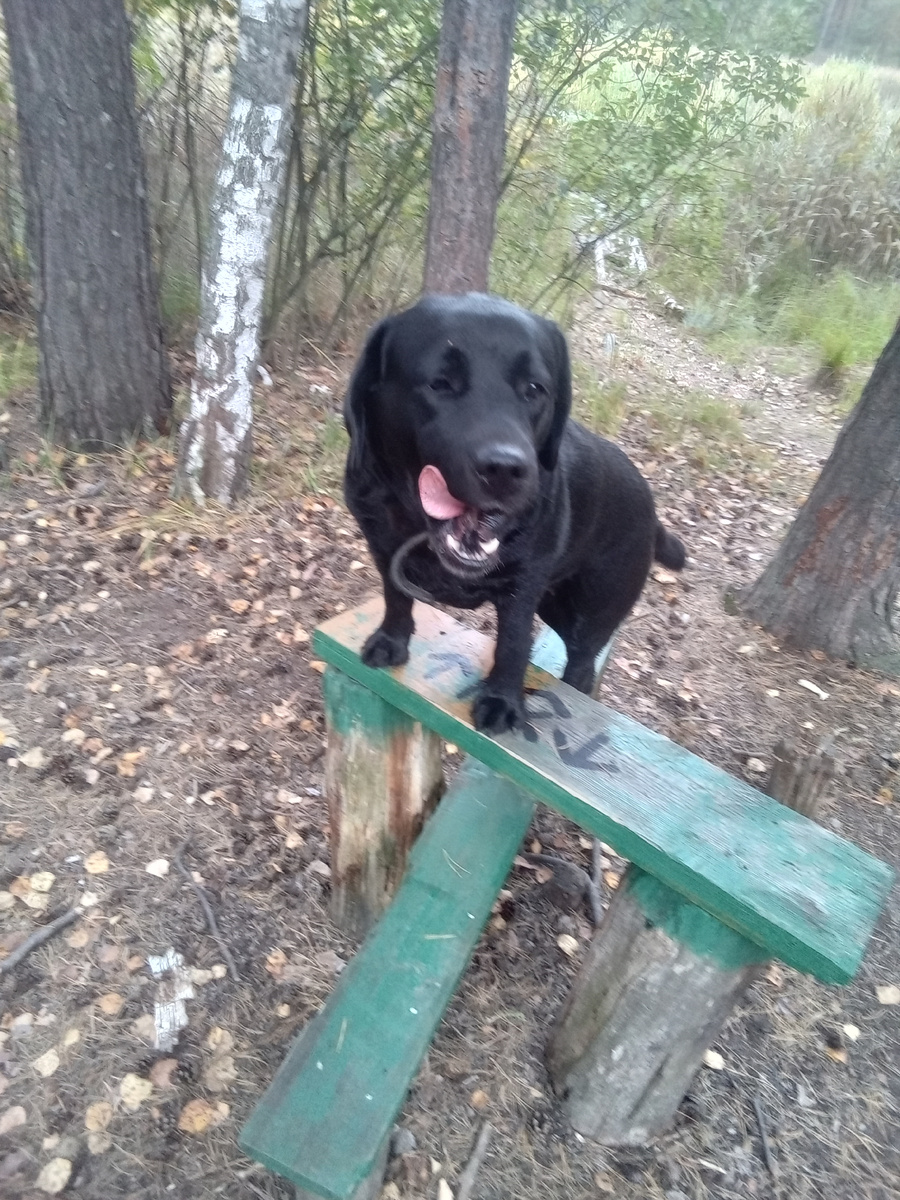 Фото автора. 