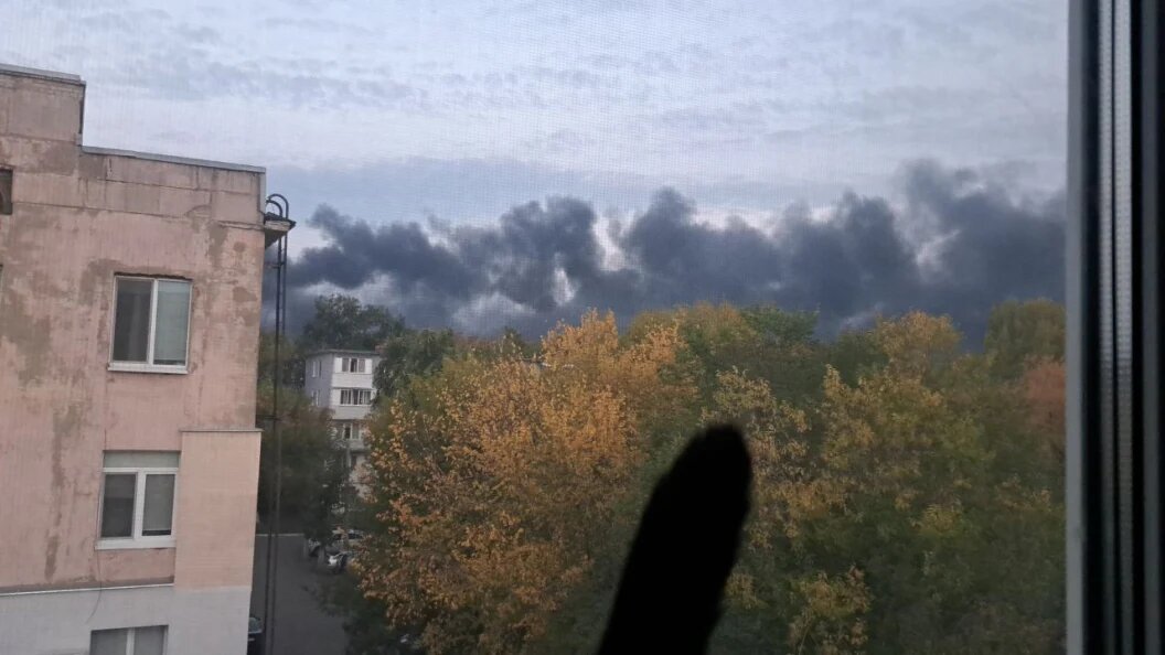    Фото: соцсети