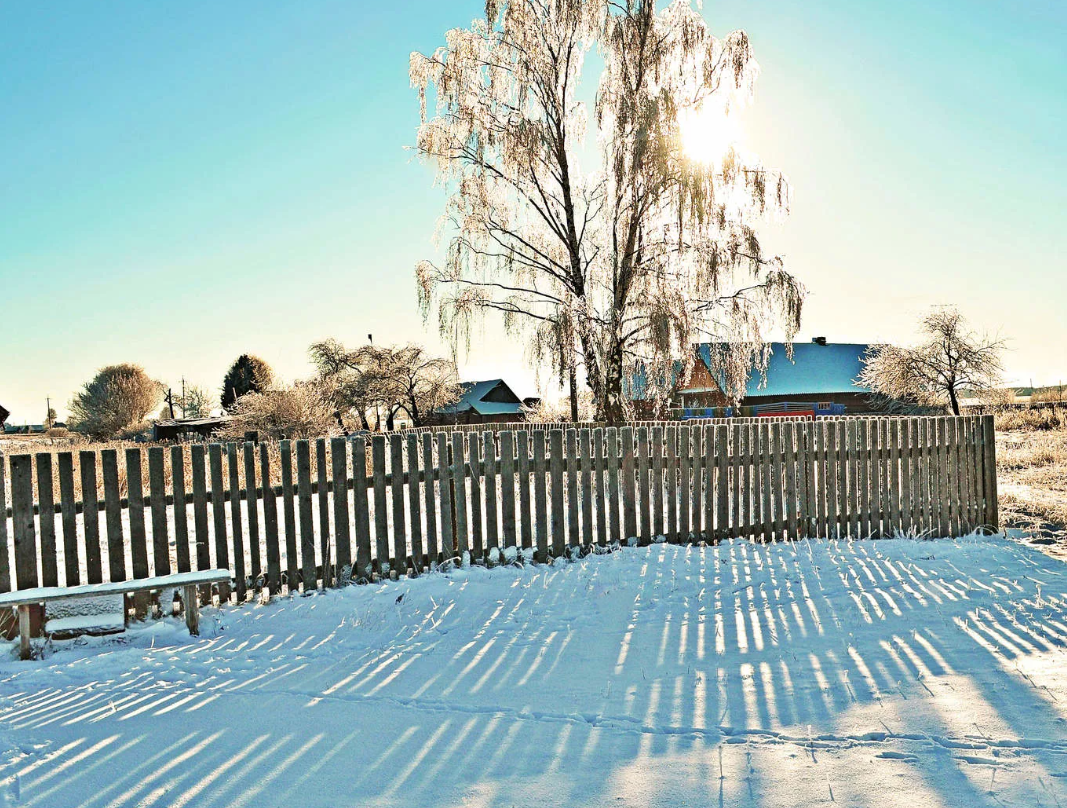 Яндекс картинки