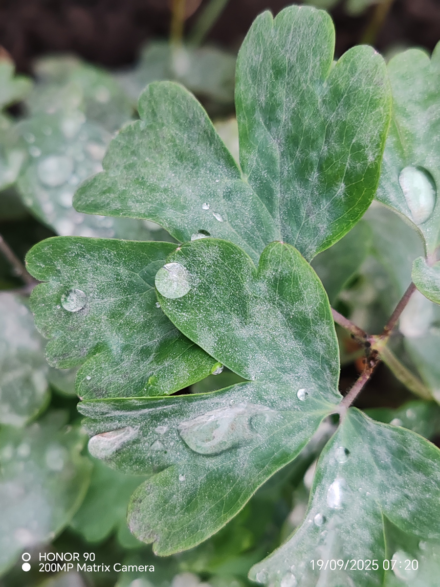 Фото автора канала. 