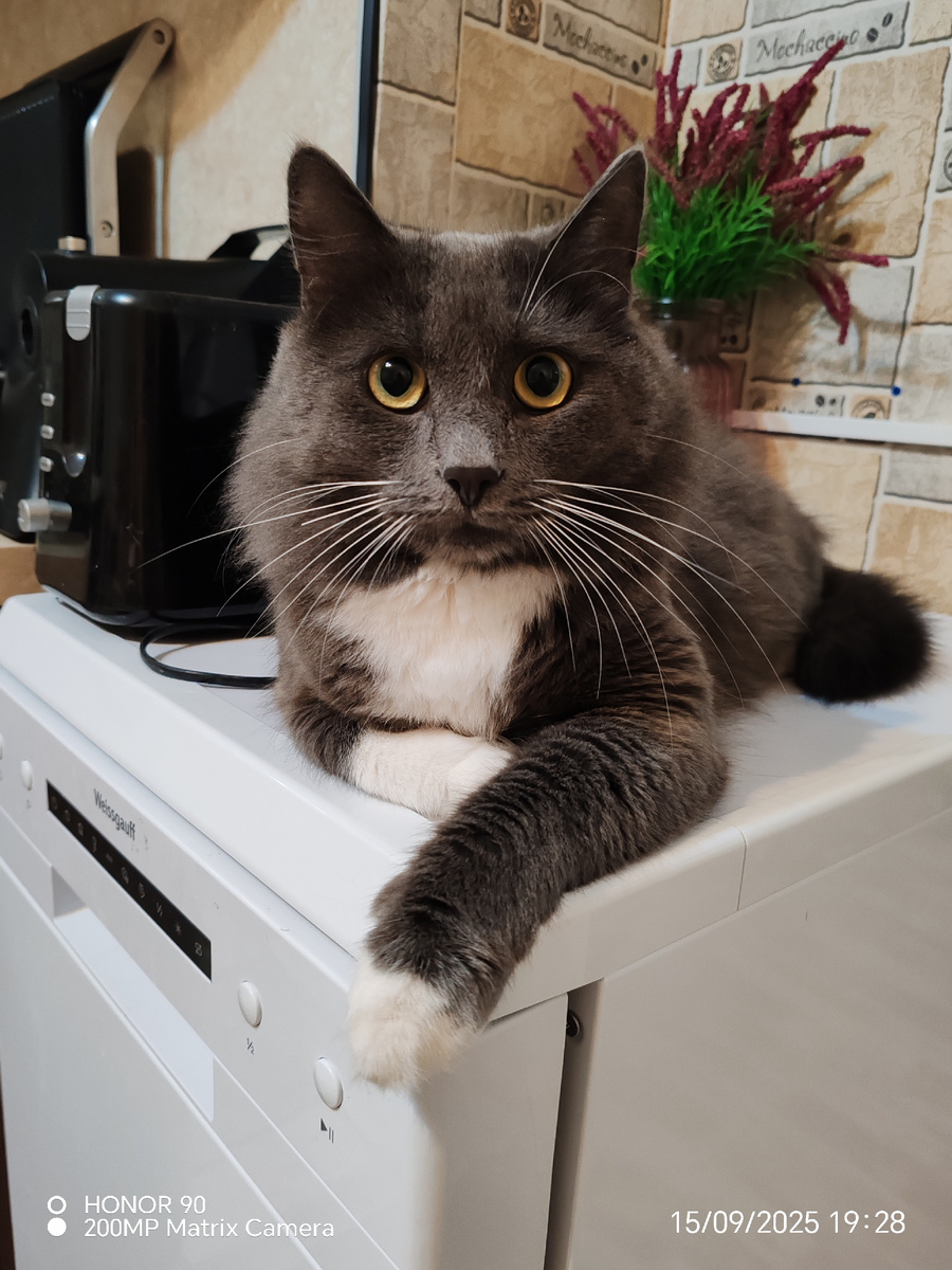 Фото автора канала. 