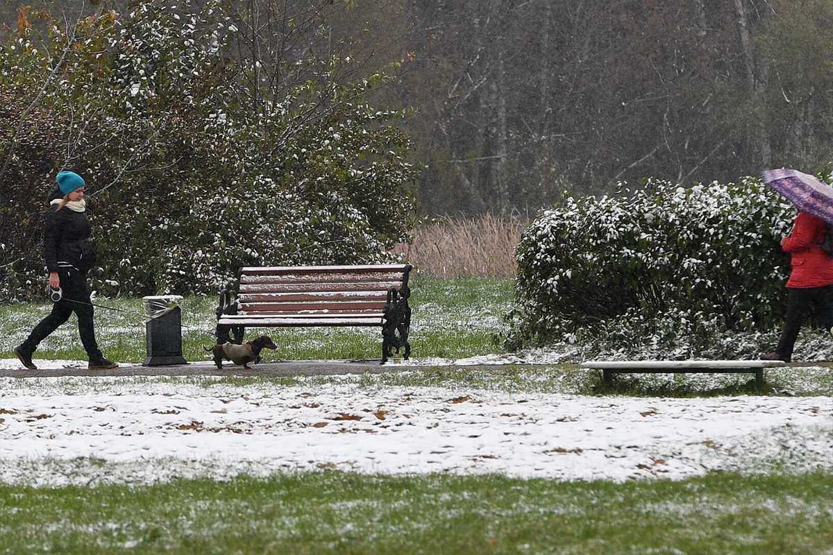    Фото: Михаил Воскресенский, источник: РИА Новости