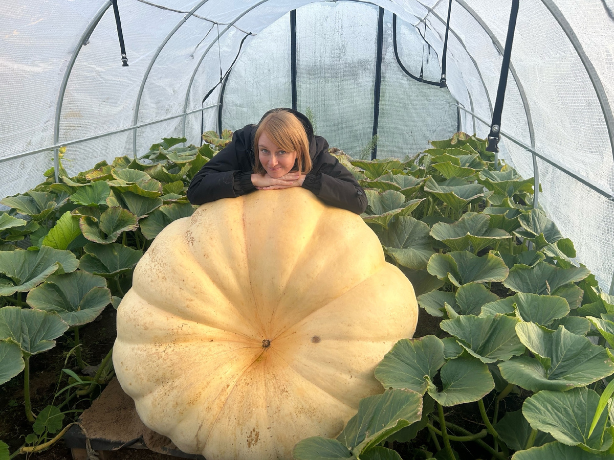 За две недели до конкурса