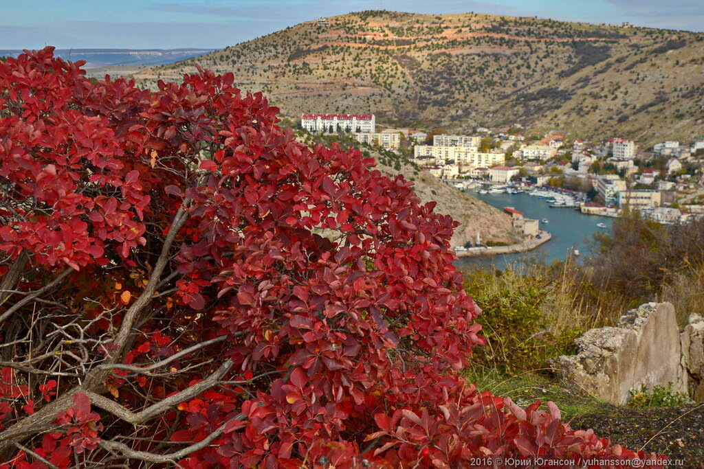 Степи и деревья вокруг Балаклавы окрашиваются осенью в яркие тона