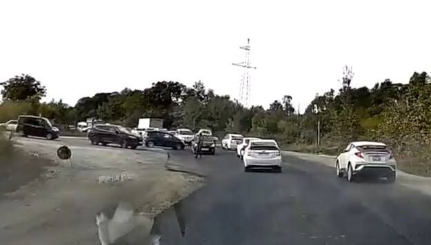    Источник фото: t.me/dpskontrol_125rus