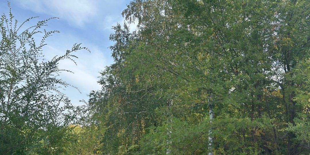 В Сызрани за одну ночь погиб 41 человек, многие задохнулись в своих постелях