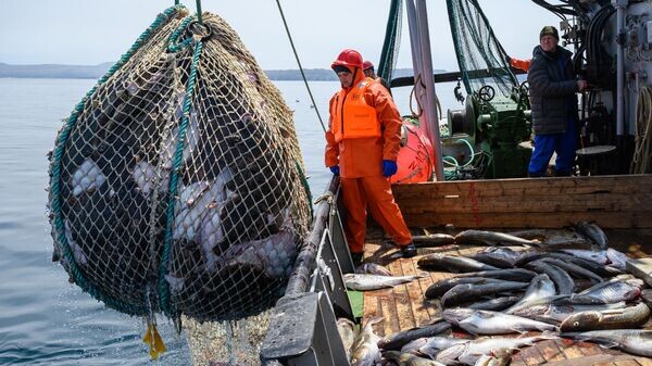    © РИА Новости . Сергей Красноухов