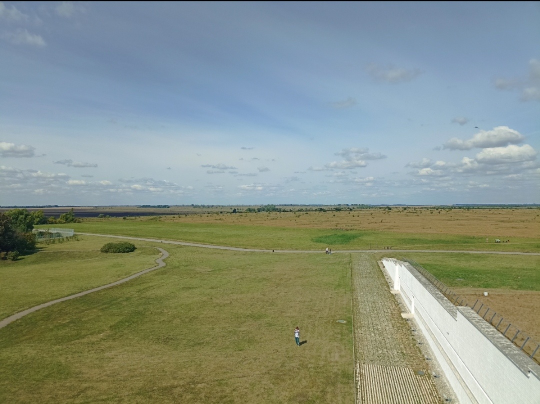 Это ⬆️ и есть Куликово поле