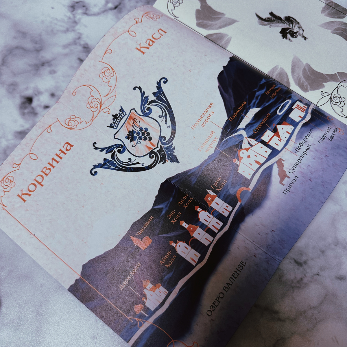 Фото Анны Карповой/Книжная лавка: жизнь любителя почитать