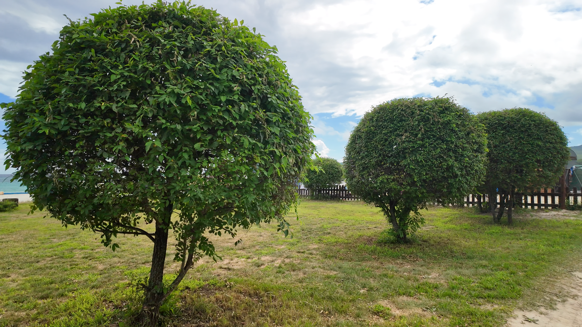 Ухоженная территория у пляжа в Триозерье