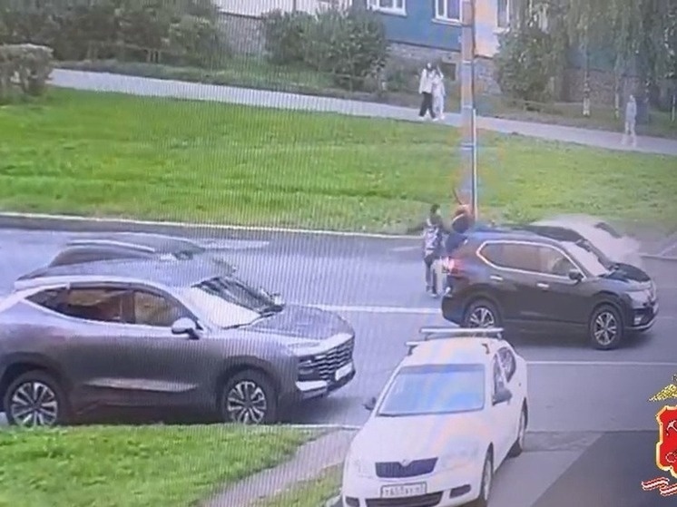     Фото: скриншот с видео от пресс-службе ГУ МВД России по Санкт-Петербургу.