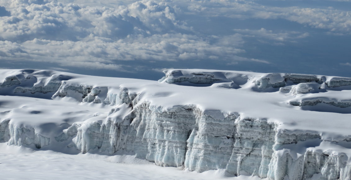    Фото: НИА "Экология"