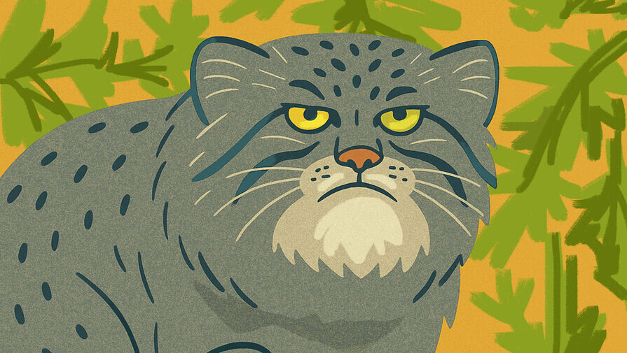 Даша Зайцева/«Газета.Ru» 