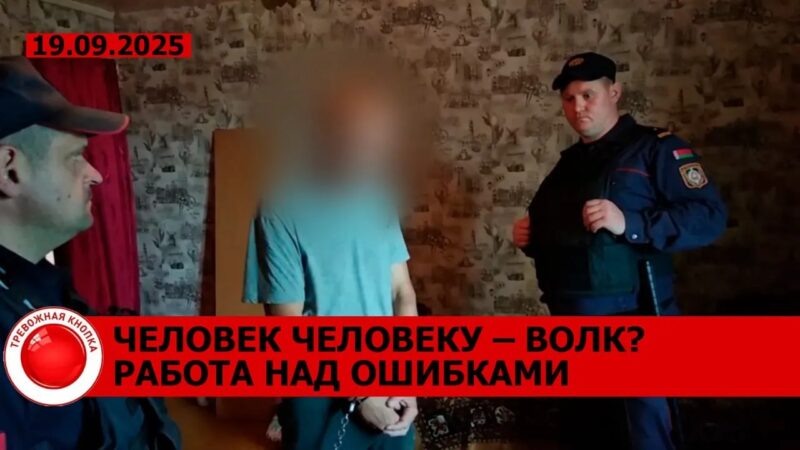    Скриншот из видео