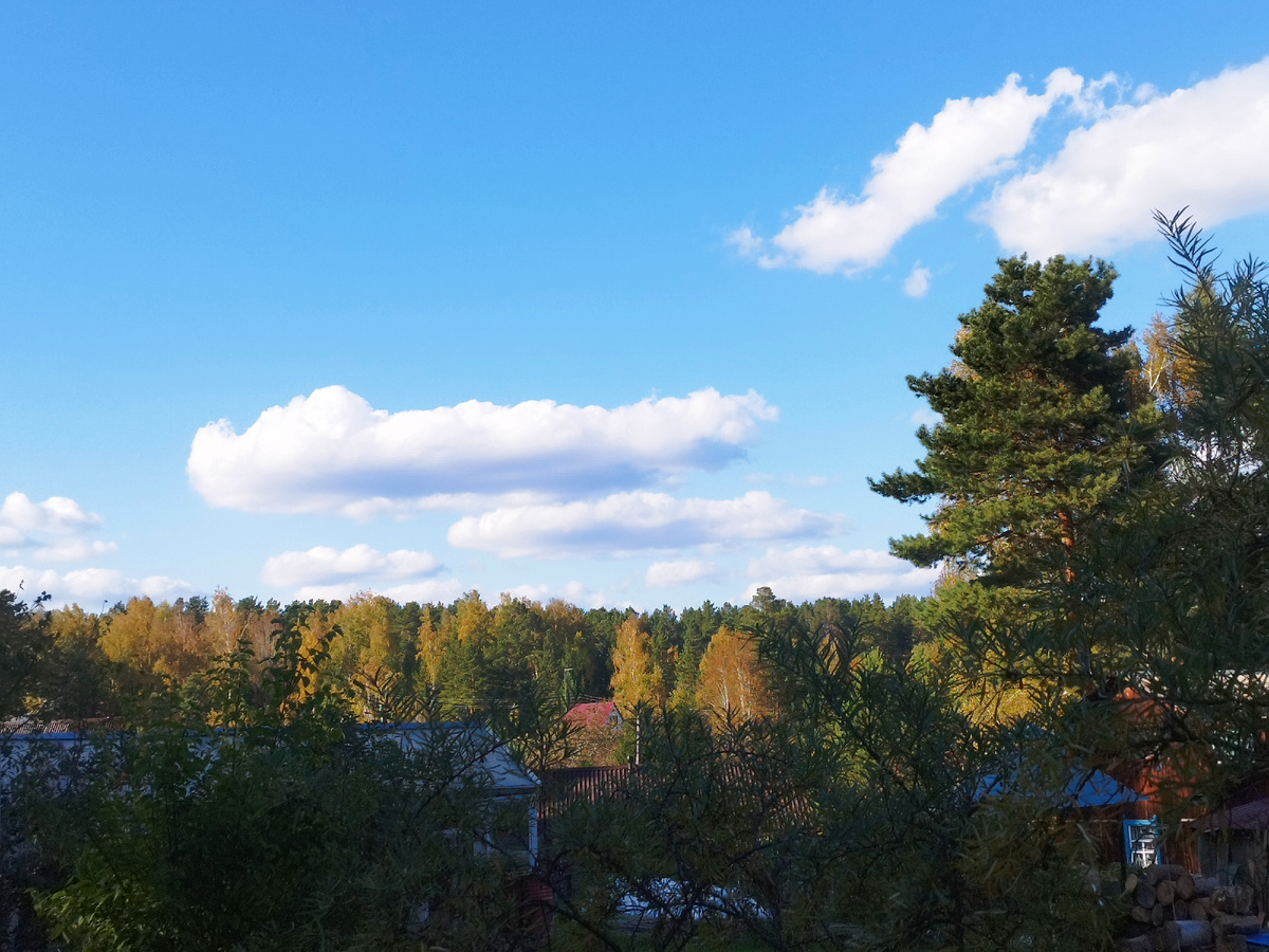 На даче. Фото из личного архива автора