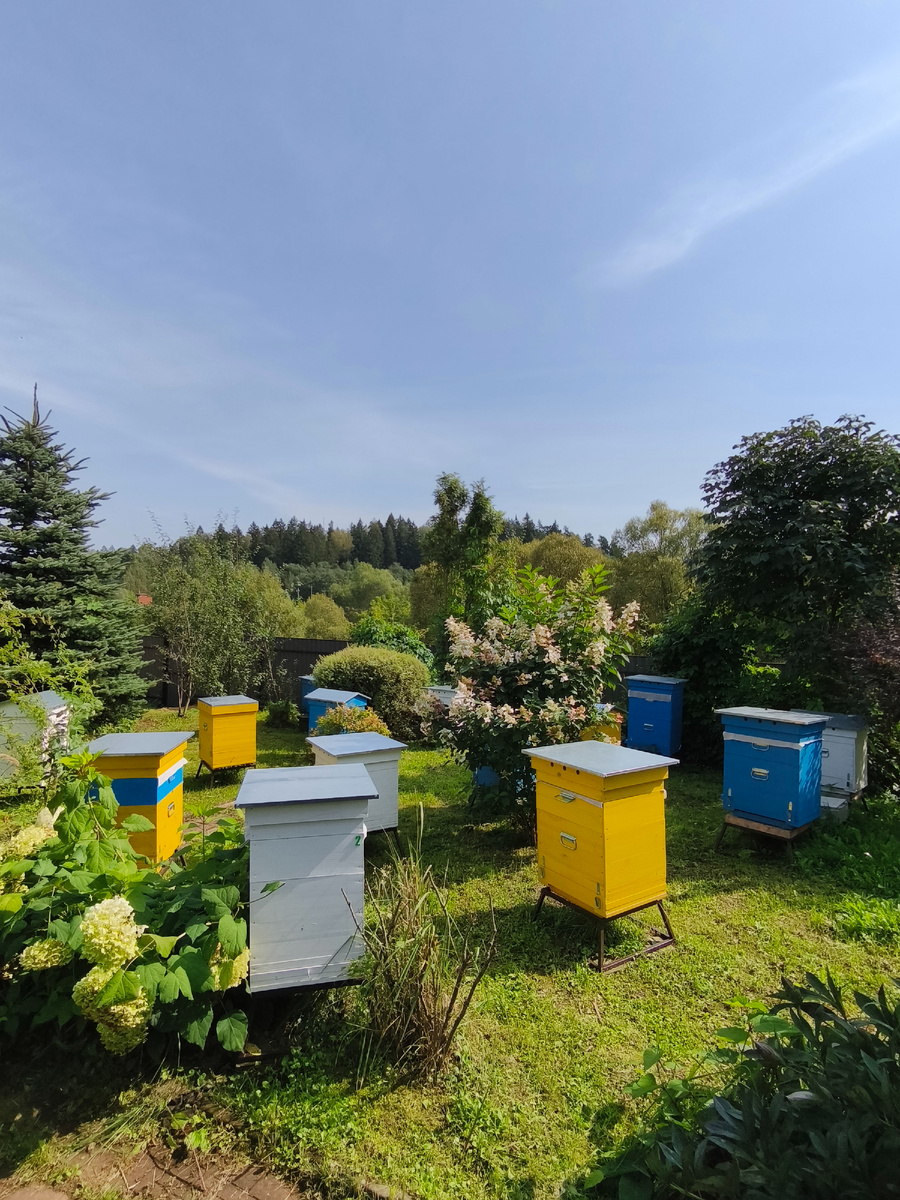 Семейная пасека Кулешовых 