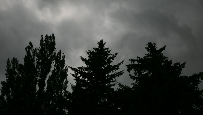      Фото: Валерия Алтухова / / ИА «Победа26»