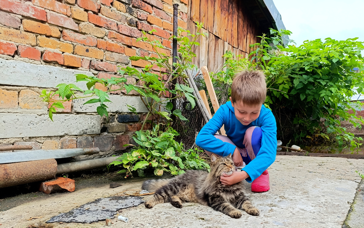 Вадюха и кот. Август 2025