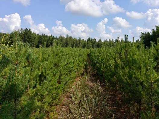    Фото: группа "ЦЗЛ Рязанской области" ВКонтакте