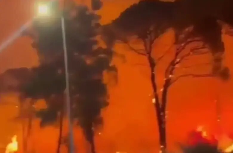    Фото: скриншот видео из соцсетей