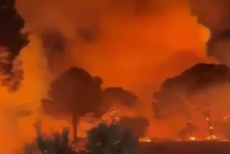    Фото: скриншот видео из соцсетей