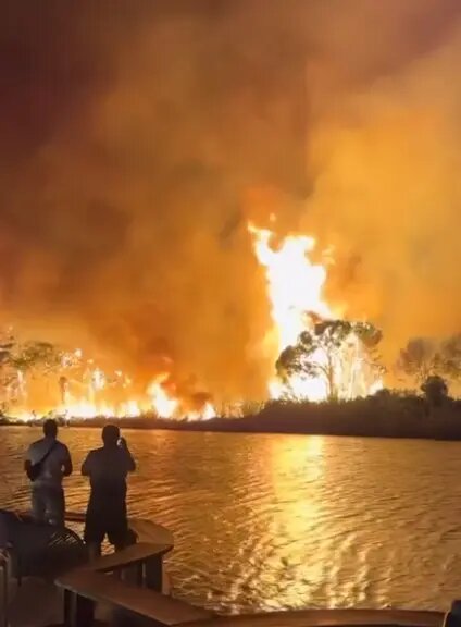    Фото: скриншот видео из соцсетей