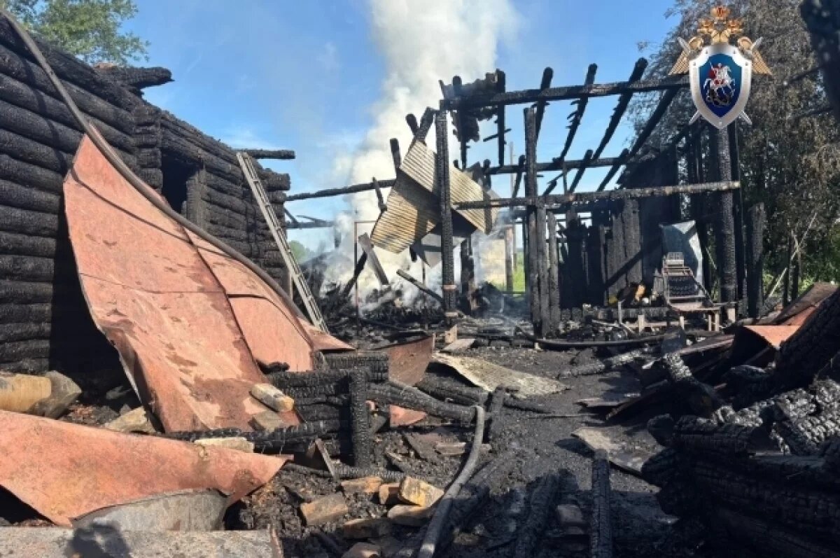    С начала года на пожарах в Ульяновской области погиб 31 человек