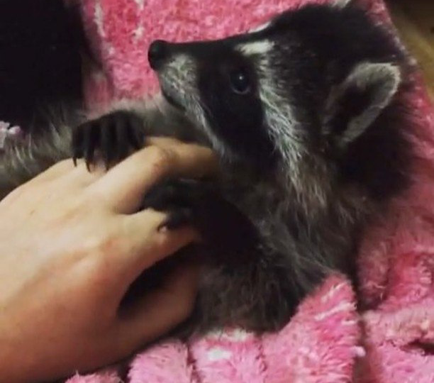 Малыши - это бесконечное умиление