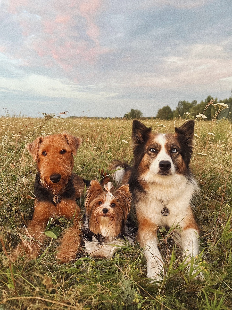 Где-то в полях Татарстана