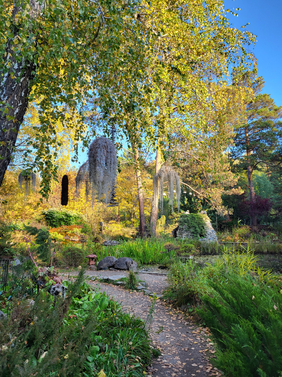 Парк Бонсай