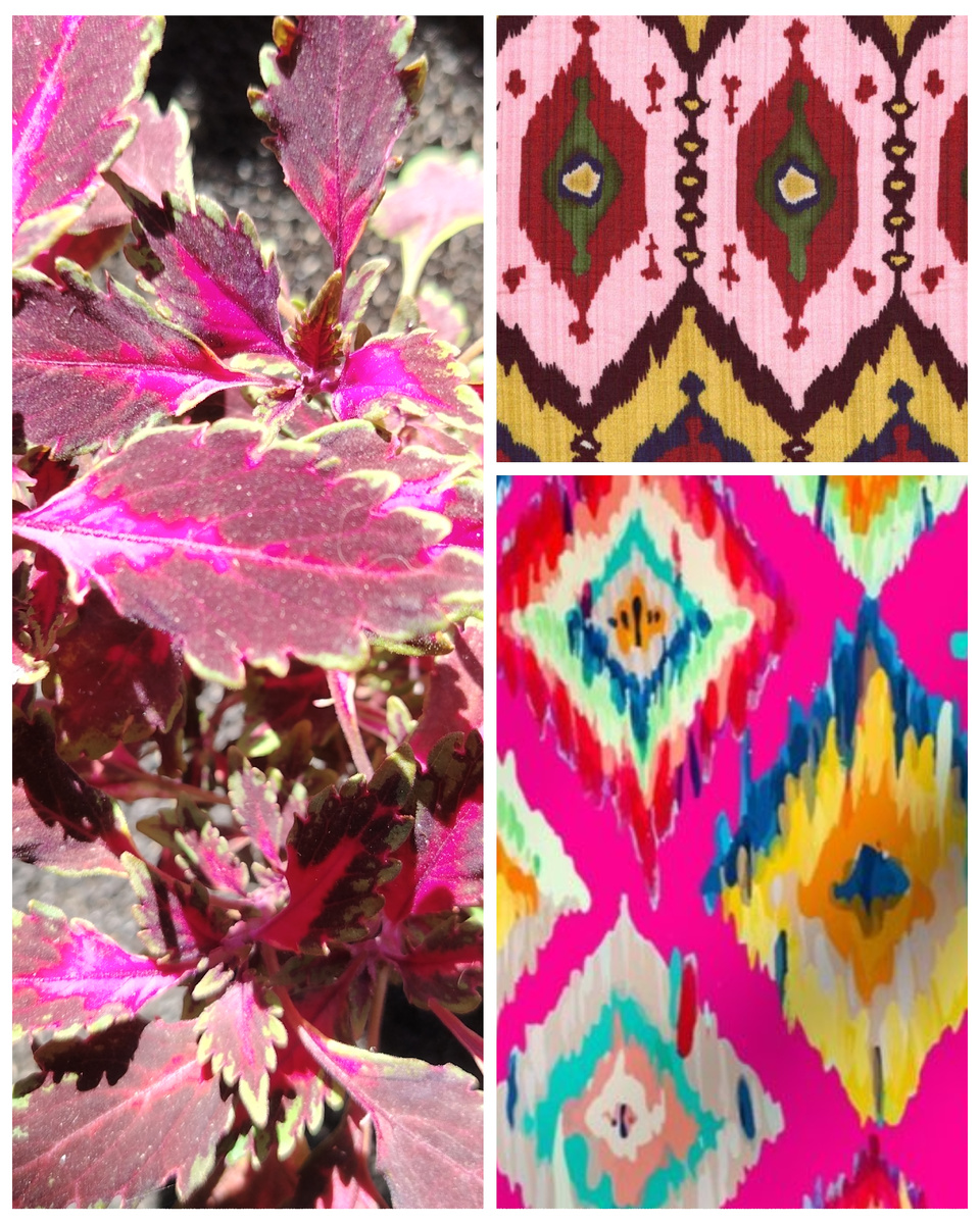 Мотив колеусе BY - Икат