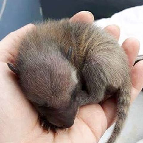 В беде не бросаем