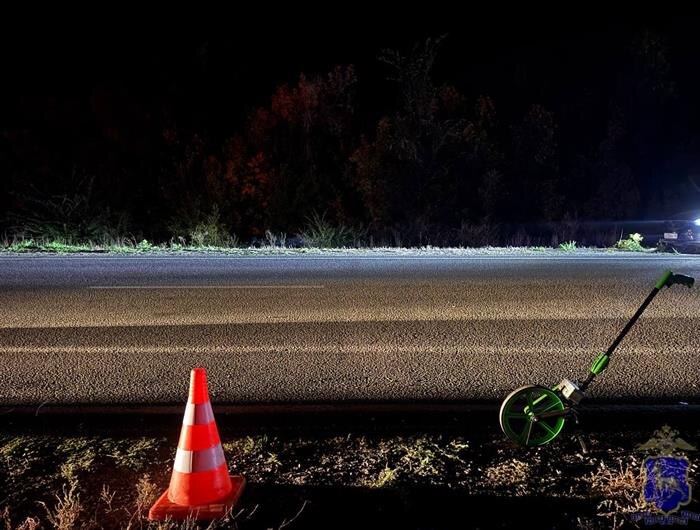    ФОТО: ГУ МВД по Самарской области